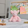 Bear & Me Truffles Piglet