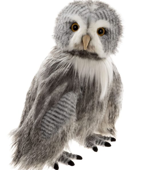 Charlie Squadron-Leader-Pearson-profile-CB262609