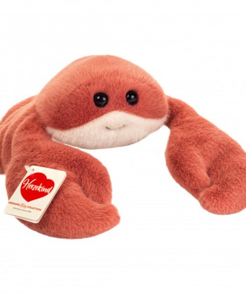 Hermann crab 939771