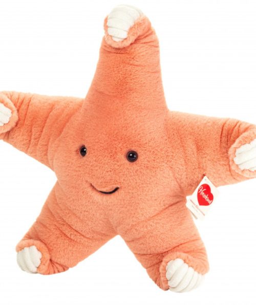 Hermann starfish 939825