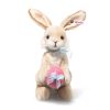 Hoppy springtime rabbit 005855