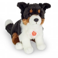 Hermann border collie