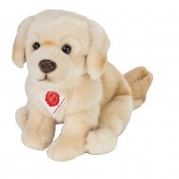 Hermann golden retriever 919551