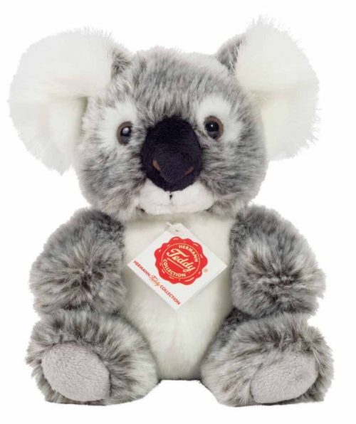 Hermann koala 914273