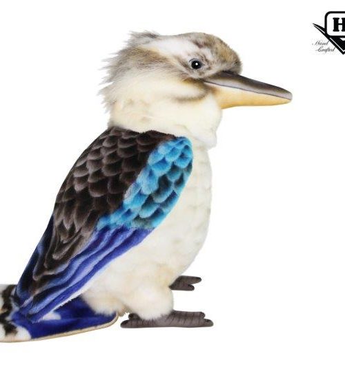 Kookaburra HC8379