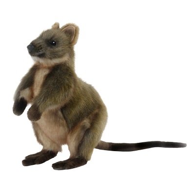 Quokka HC7362